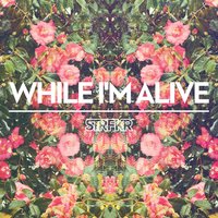 While I'm Alive - STRFKR