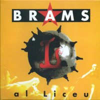 Vull Per A Demà - Brams