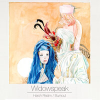 Harsh Realm - Widowspeak