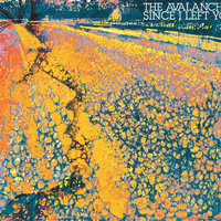 Everyday - The Avalanches