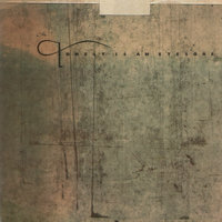 Cut The Tree - The Wolfgang Press