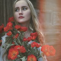 Элли на маковом поле