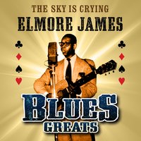 You Know You Done Me Wrong - Elmore James