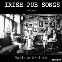 Rocky Road To Dublin - The Blarney Lads