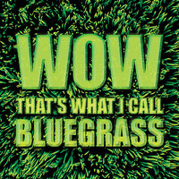 Somebody Loves You Darling - Marty Stuart, The Nashville Grass, Curly Seckler