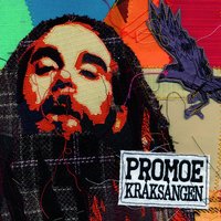 Några nollor efter - Promoe, Organismen
