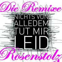 Nichts von alledem (tut mir leid) - Rosenstolz, Vince Clarke