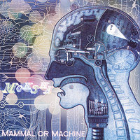 Interface - Moksha, DJ Logic, Bill Ortiz