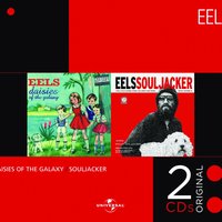 Bus Stop Boxer - Eels
