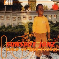 As The Storm Blows On By - Sunspot Jonz