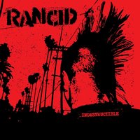 Django - Rancid