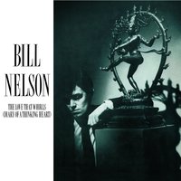 Flaming Desire - Bill Nelson