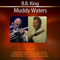 A Woman Don't Care - B.B. King