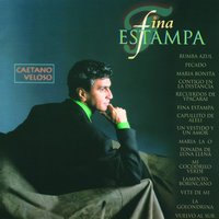 Mi Cocodrilo Verde - Caetano Veloso