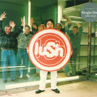Pudding - Lush