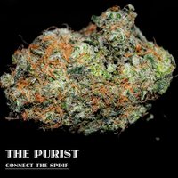 Connect the Spdif - The Purist, Jehst