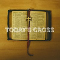 Today's Cross - Frightened Rabbit