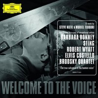 Robert Wyatt
