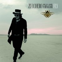 Let It Shine - Zucchero