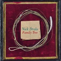 Bird Flew By - Nick Drake