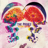 Plastic Paperbacks - The Posies, Hugh Cornwell