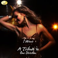 Little Things - Ameritz - Tribute