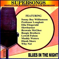 Standin' Here Tremblin' - Muddy Waters