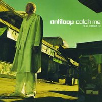 Catch Me - Antiloop, Timbuktu