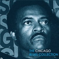 I Got Wise - Jimmy Dawkins, Sylvester Boines, Richard Kirch
