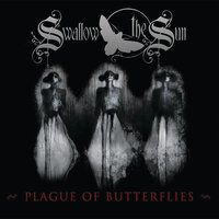 Swallow - Swallow The Sun