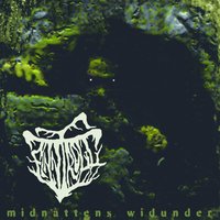 Vätteanda - Finntroll