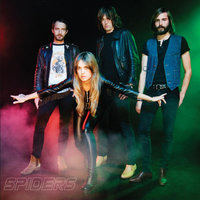 Fraction - Spiders