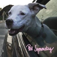 Pet Symmetry