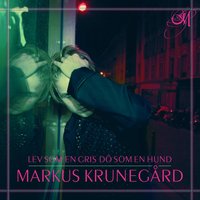 Benny - Markus Krunegård