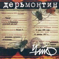 Ветер-шалун - ЧайФ