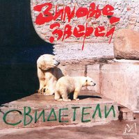 Транзитная пуля - Зимовье зверей