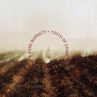 Anything I Say Can and Will Be Used Against You - T-Bone Burnett