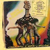 I'm Not Crazy feat. Captain Sinbad - Don Carlos
