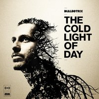 Take Flight - Dialectrix, Momo