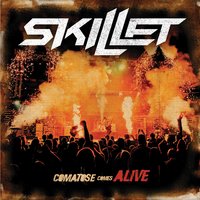 Live Free or Let Me Die - Skillet