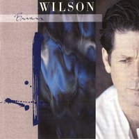 Too Much Sugar - Brian Wilson