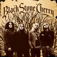 Rain Wizard - Black Stone Cherry