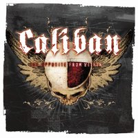 The Beloved and the Hatred - Caliban