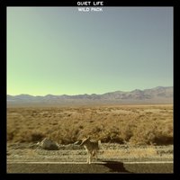 Come on Come Back - Quiet Life