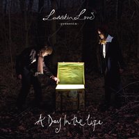 Well, Love Does Furnish a Life (Fyfe Dangerfield) (Guillemots) - Larrikin Love