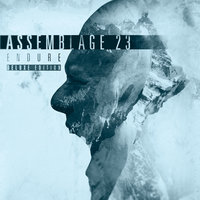 December - Assemblage 23
