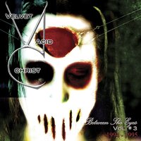 Dead Flesh - Velvet Acid Christ