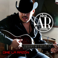 Solo Detalles - Alex Rivera, Luis Coronel