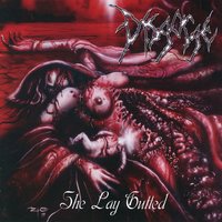 False Conception - Disgorge