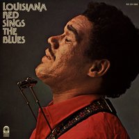 Country Playboy - Louisiana Red